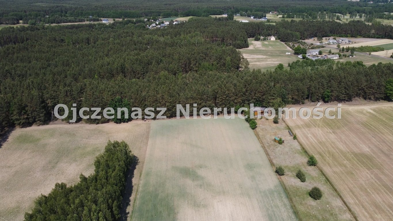 Działka leśna na sprzedaż Jędrzejewo  4 700m2 Foto 2