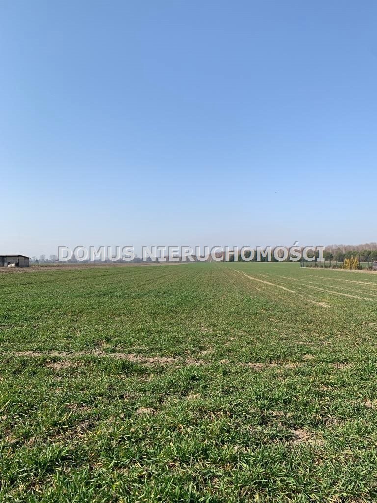 Działka budowlana na sprzedaż Złotniki  1 577m2 Foto 1