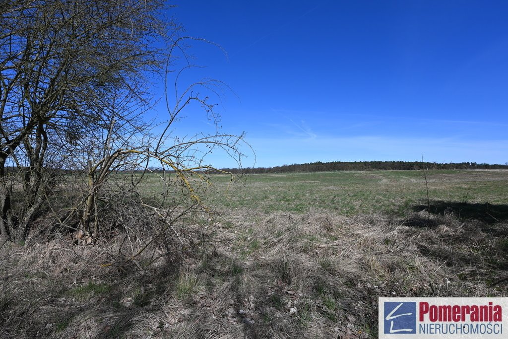 Na sprzedaż działka rolna 13 579 m² w Buku z potencjałem inwestycyjnym Buk  13 579m2 Foto 1