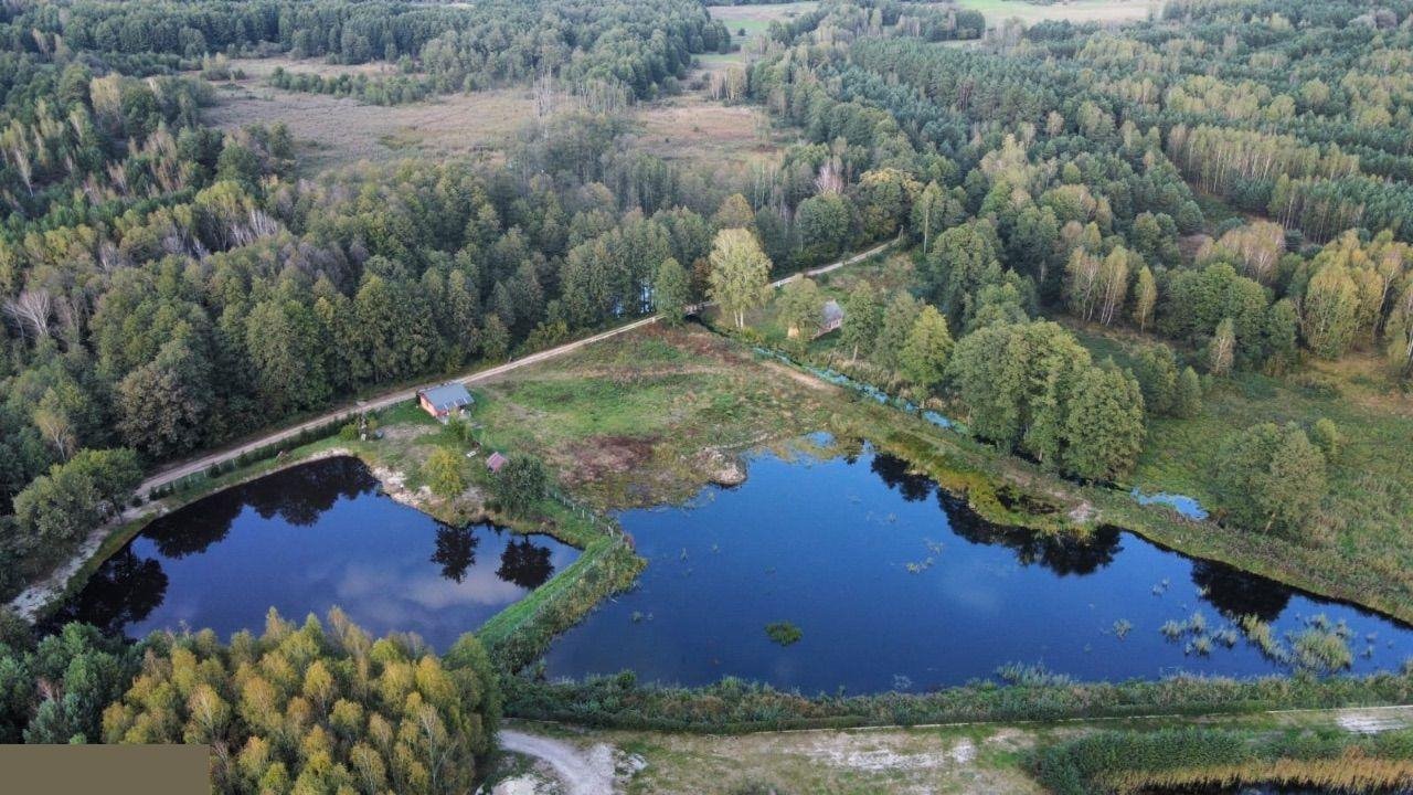 Działka budowlana na sprzedaż Sromutka  17 000m2 Foto 15