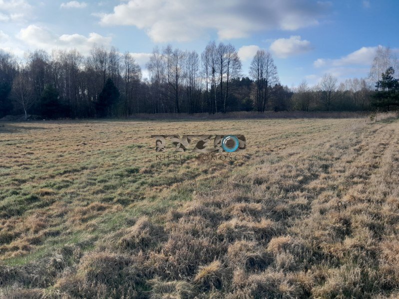 Działka budowlana na sprzedaż Nowiny, Nowiny, Nowiny  3 000m2 Foto 8