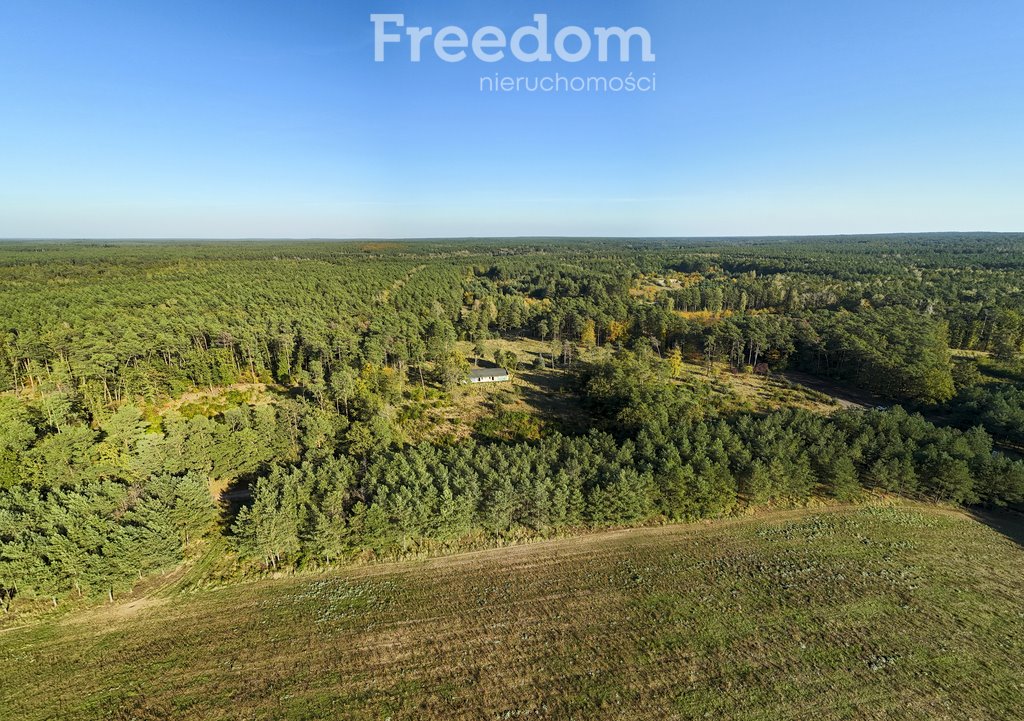 Działka budowlana na sprzedaż Trzaskowo  16 398m2 Foto 1