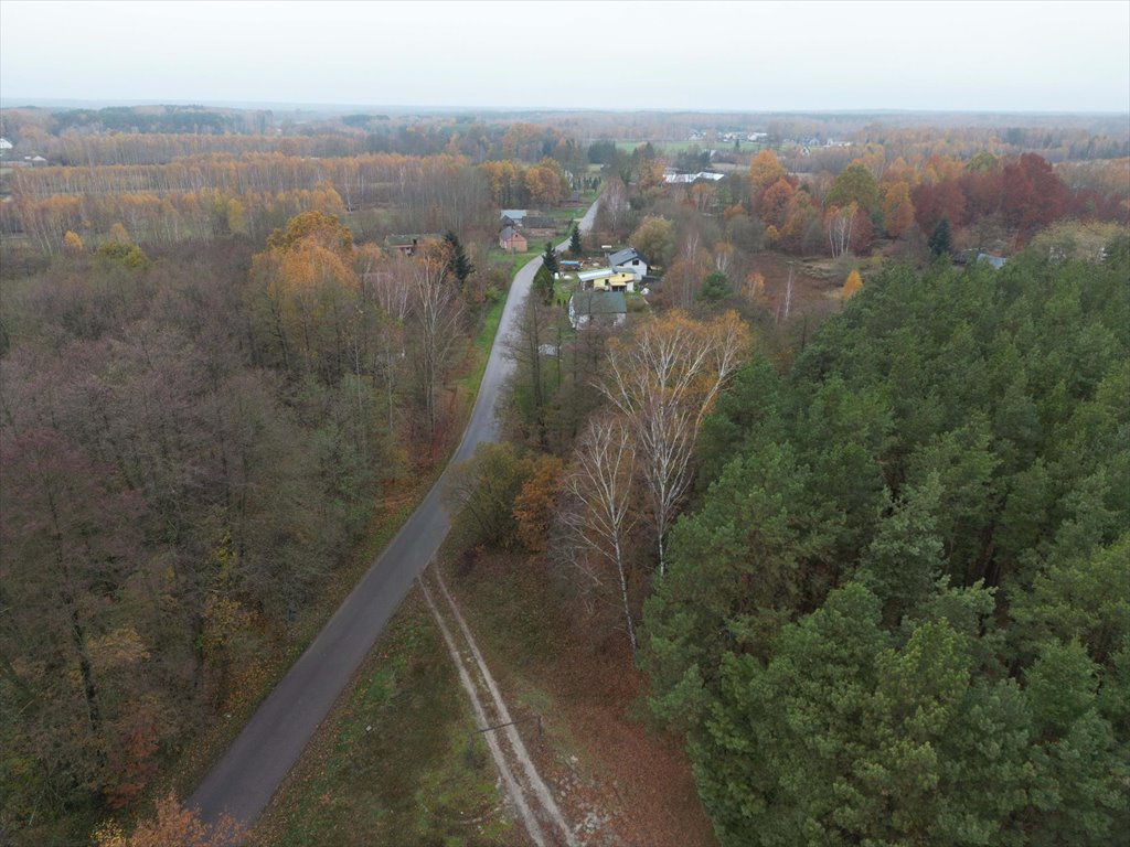 Działka budowlana na sprzedaż Strugi Krzywickie  26 000m2 Foto 2