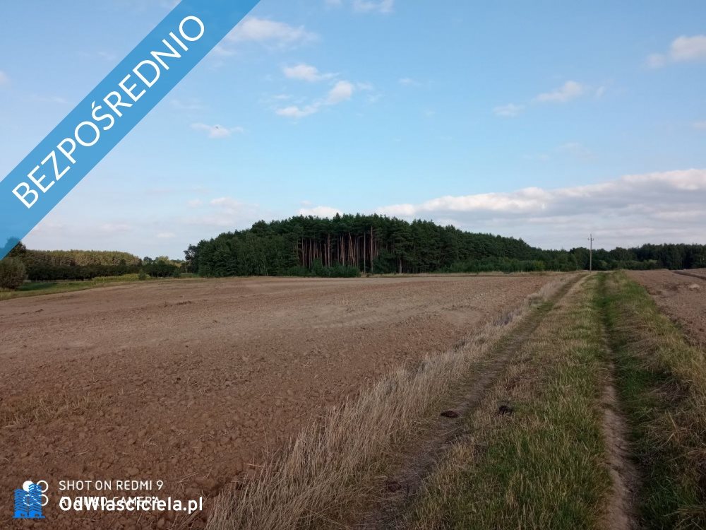 Działka budowlana na sprzedaż Nojewo  1 600m2 Foto 8