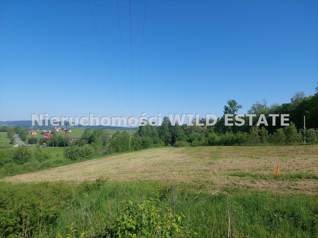 Działka rolna 5167 m² przy drodze wojewódzkiej - Berezka Berezka  5 167m2 Foto 1