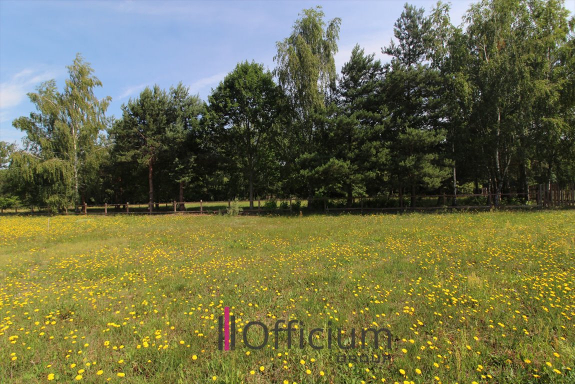 Działka budowlana na sprzedaż Gościeńczyce  3 000m2 Foto 2