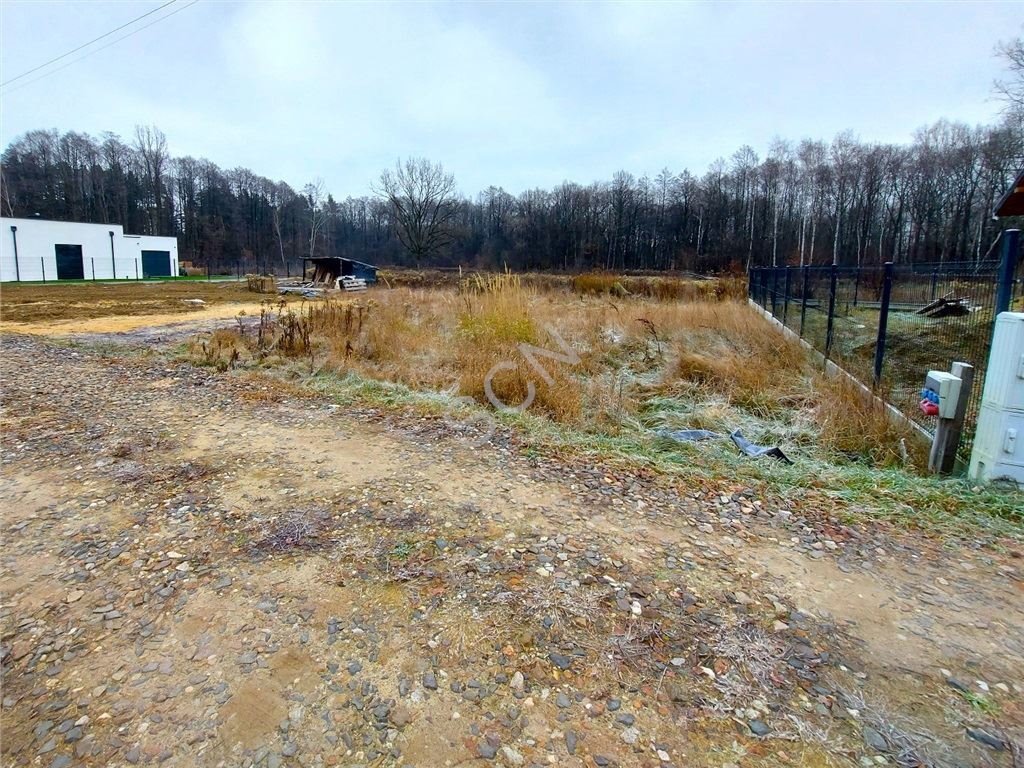 Działka budowlana na sprzedaż Izabela  900m2 Foto 2