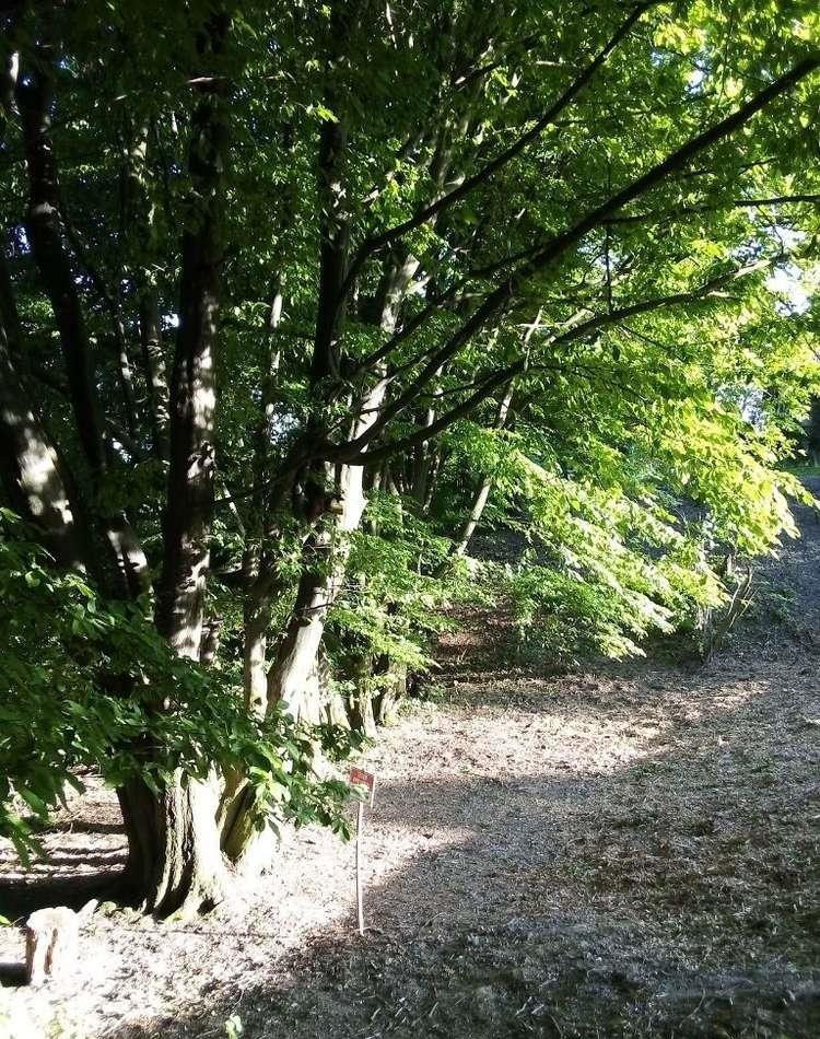 Działka budowlana na sprzedaż Świątniki Górne  1 693m2 Foto 5