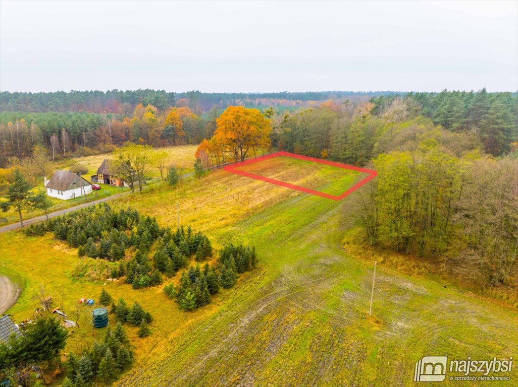 Działka budowlana 1500 m2 w otoczeniu lasów, blisko S6 Węgorza, Wieś  1 500m2 Foto 1