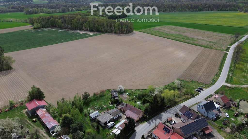 Działka budowlana na sprzedaż Strzegów  21 000m2 Foto 2