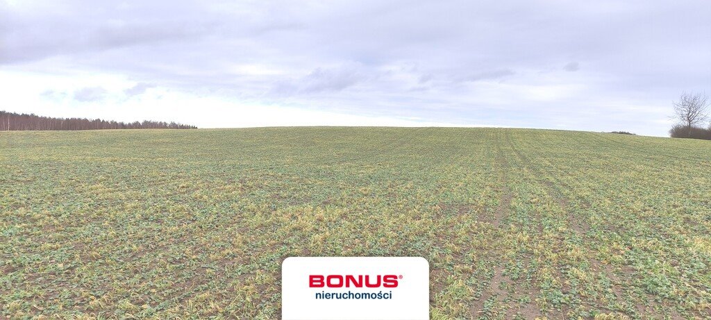Działka inna na sprzedaż Gradki  47 600m2 Foto 4
