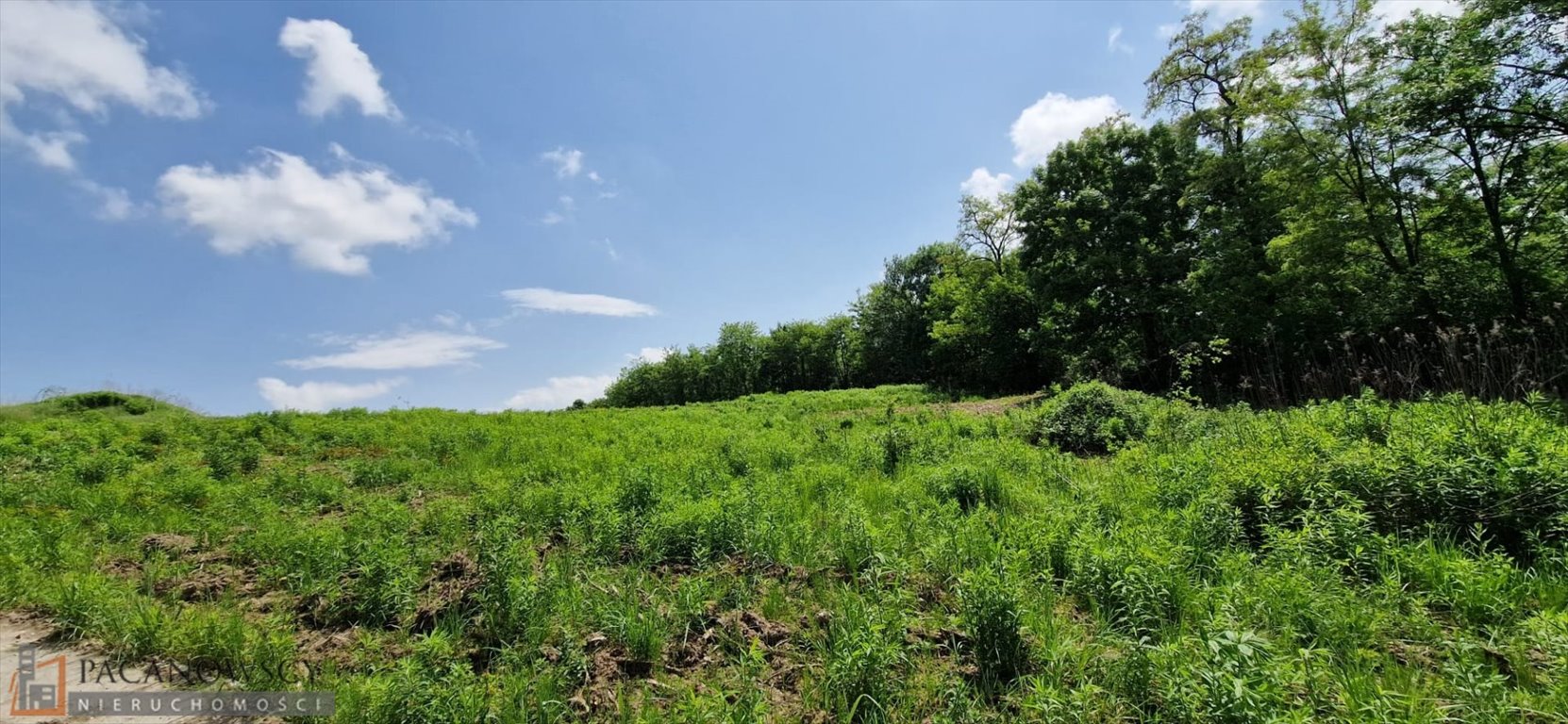 Działka budowlana na sprzedaż Kraków, Prądnik Biały, Tonie  13 900m2 Foto 1