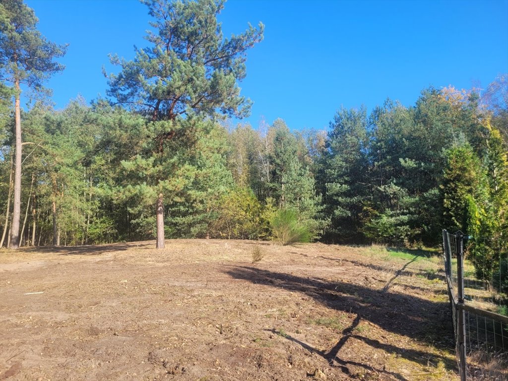 Działka budowlana na sprzedaż Nowe Grabie, Pod Klonami  2 800m2 Foto 10