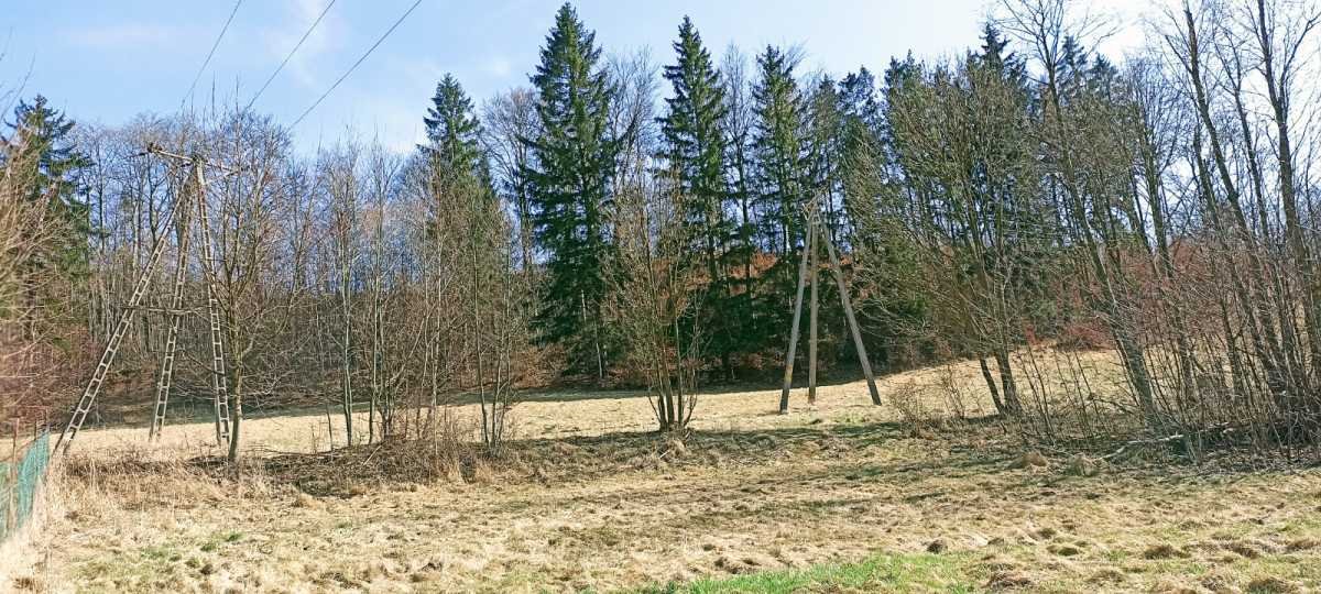 Działka inna na sprzedaż Nowa Ruda, Dzikowiec  2 150m2 Foto 2