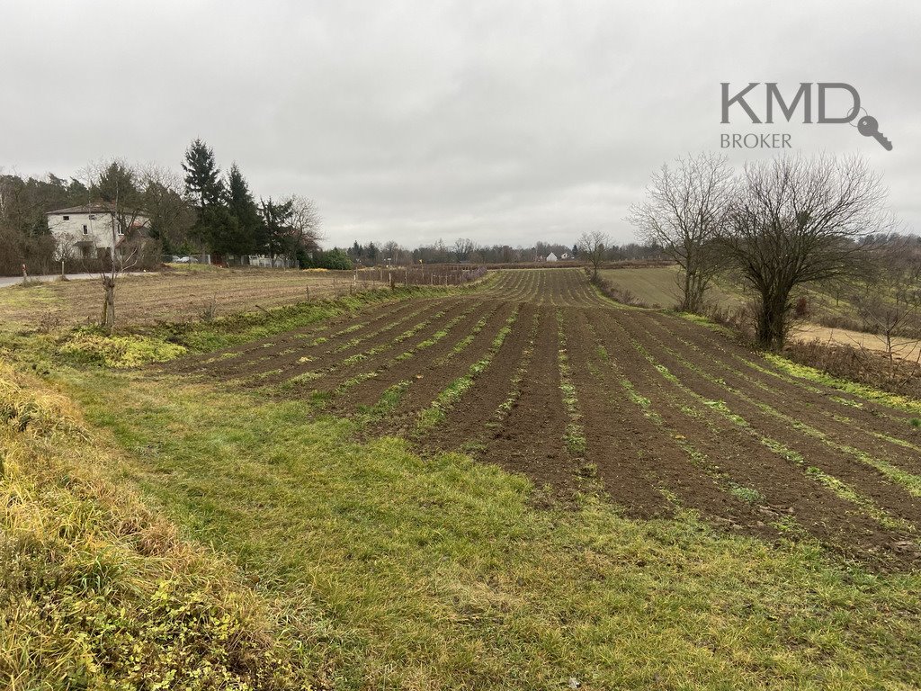 Działka budowlana na sprzedaż Kazimierz Dolny, Góry Pierwsze  3 300m2 Foto 1