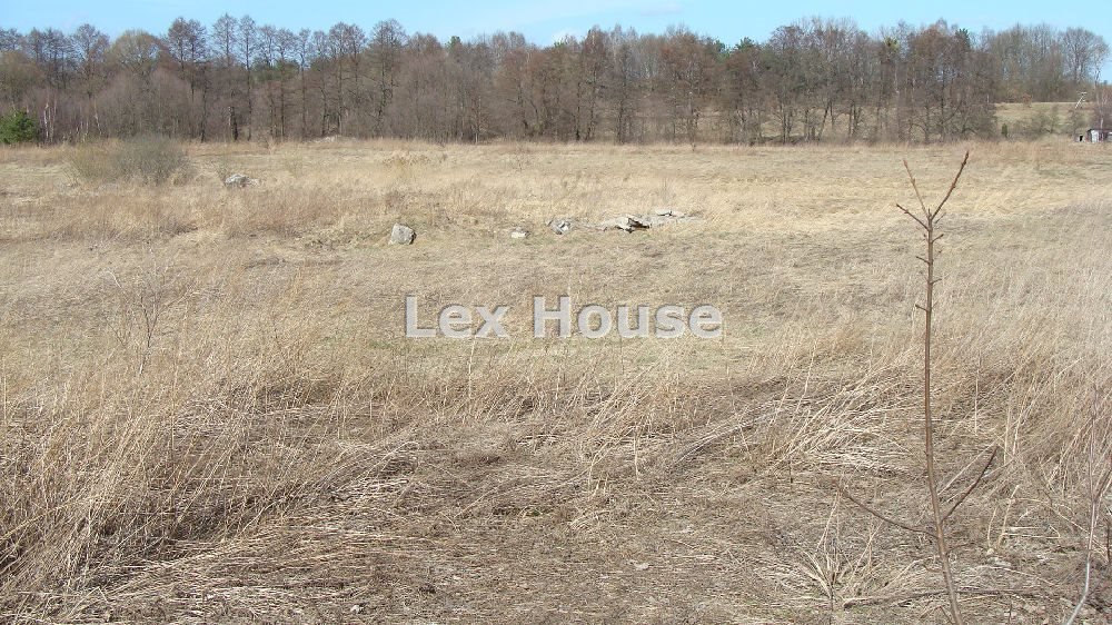 Działka 1,73 ha z dostępem do drogi asfaltowej i mediów Goleniów  14 300m2 Foto 1