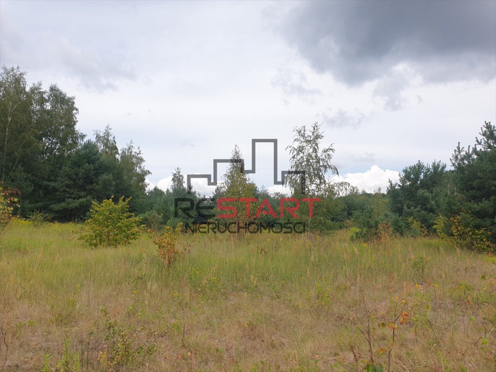 Działka budowlana na sprzedaż Kuklówka Radziejowicka  5 200m2 Foto 7