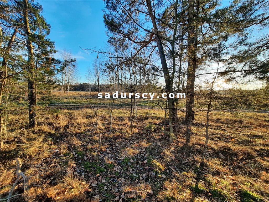 Działka budowlana na sprzedaż Baniocha  3 539m2 Foto 8