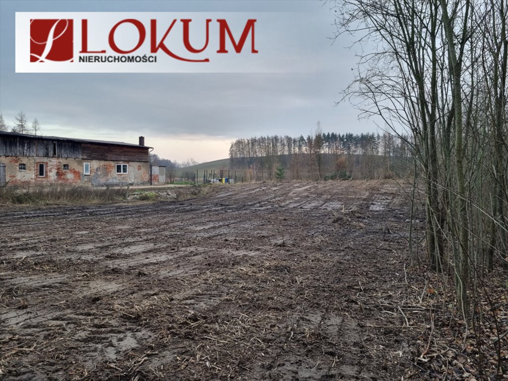 Działka budowlana na sprzedaż Świetlikowo  2 065m2 Foto 3