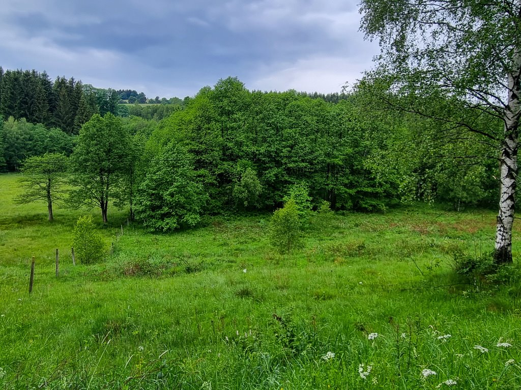 Działka inna na sprzedaż Niemojów  22 900m2 Foto 4