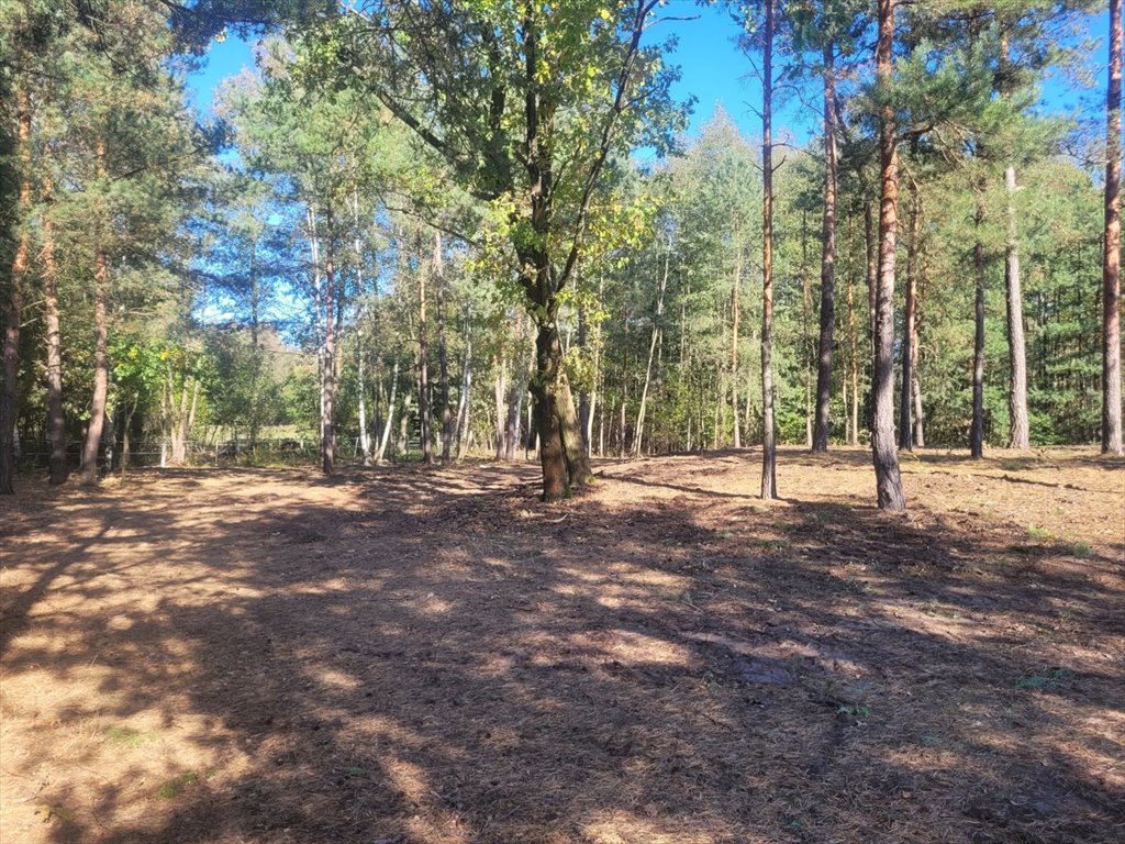 Działka budowlana na sprzedaż Nowe Grabie, Pod Klonami  2 800m2 Foto 12