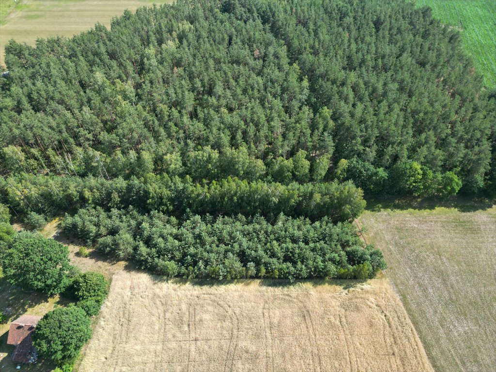 Działka budowlana na sprzedaż Jerominy  3 705m2 Foto 2