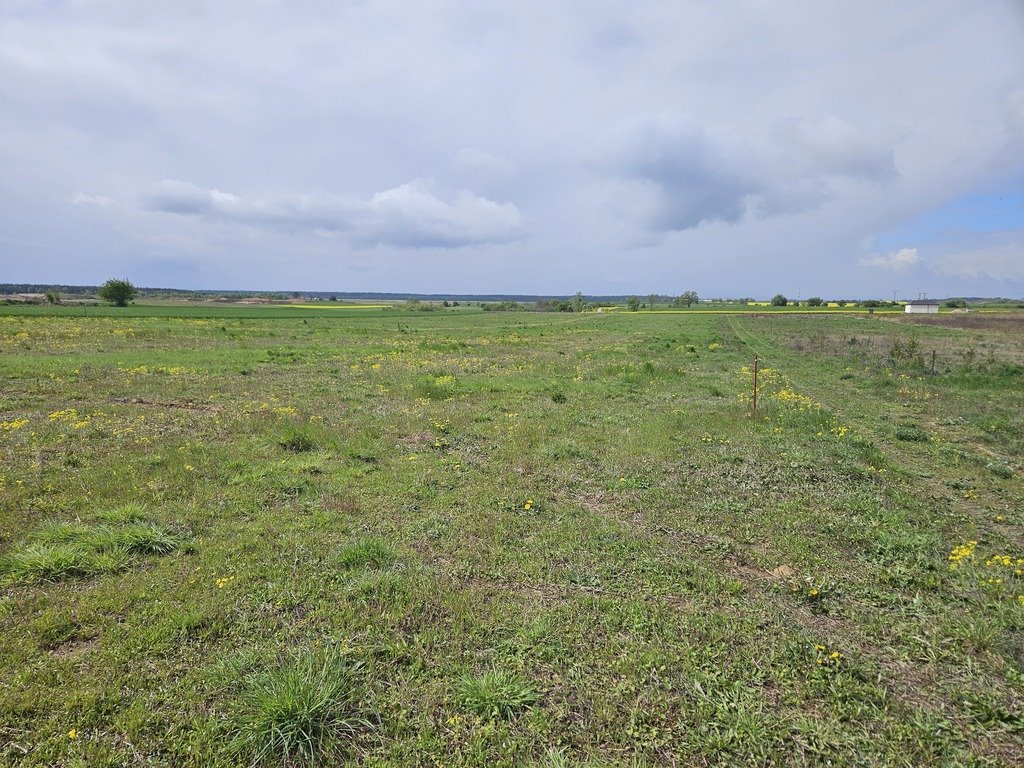 Działka budowlana na sprzedaż Moryń  1 000m2 Foto 11