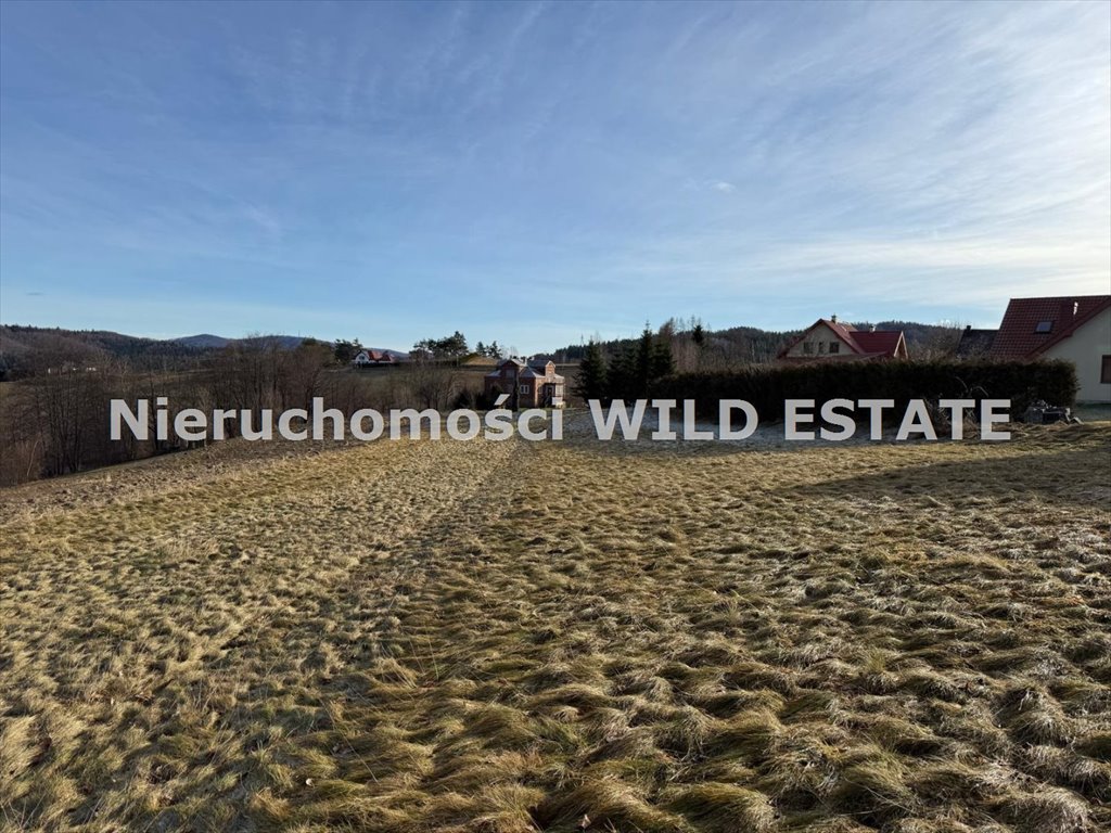 Działka z widokiem, media, 3402 m² – idealna pod dom Berezka  3 402m2 Foto 1