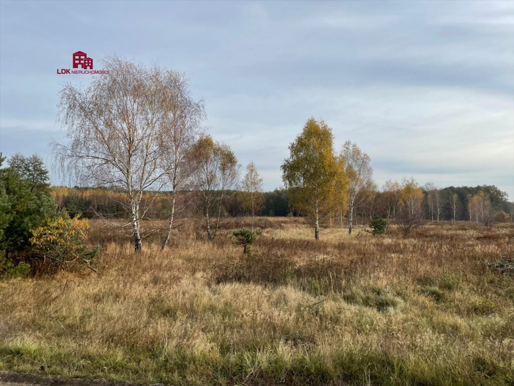 Działka budowlana na sprzedaż Zielona Góra  35 300m2 Foto 17