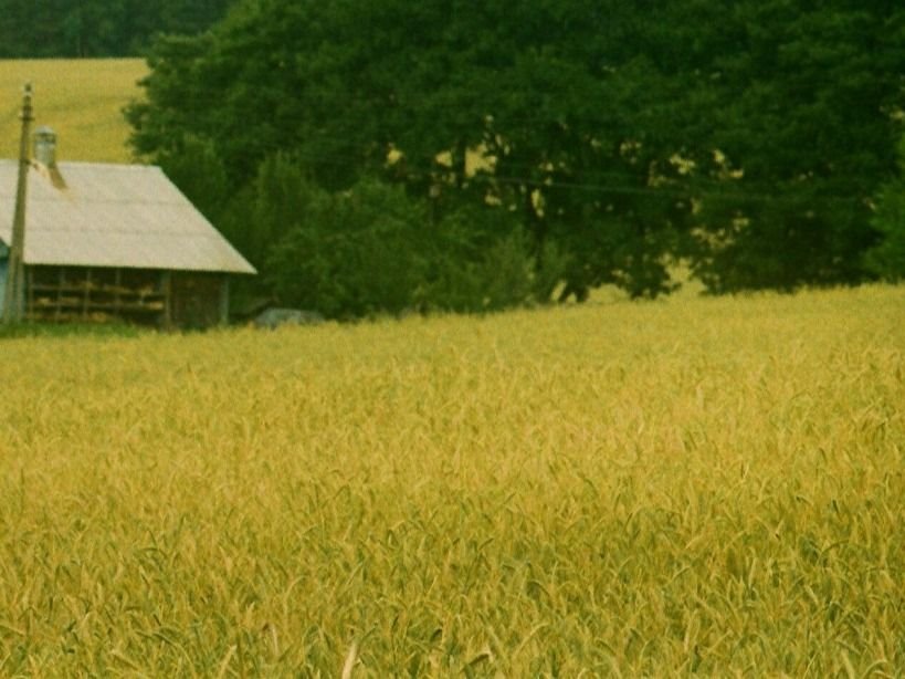 Działka budowlana na sprzedaż Chraboły  2 000m2 Foto 3