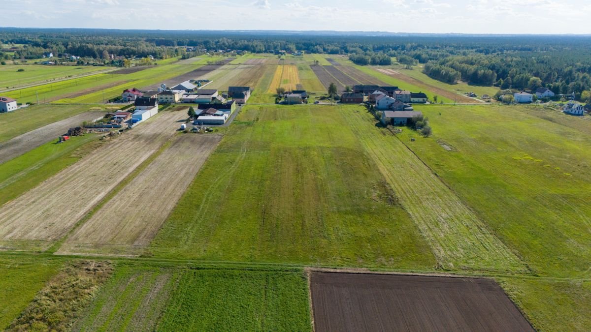 Działka budowlana na sprzedaż Cynków, Łazy  6 414m2 Foto 8