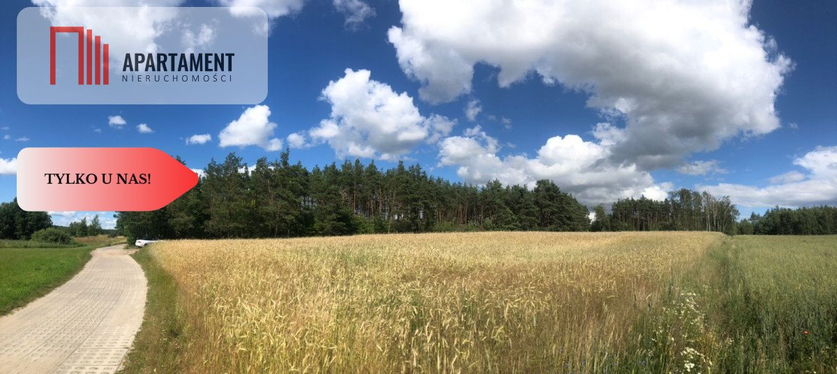 Działka budowlana na sprzedaż Kaliska, Łąkowa  6 400m2 Foto 4