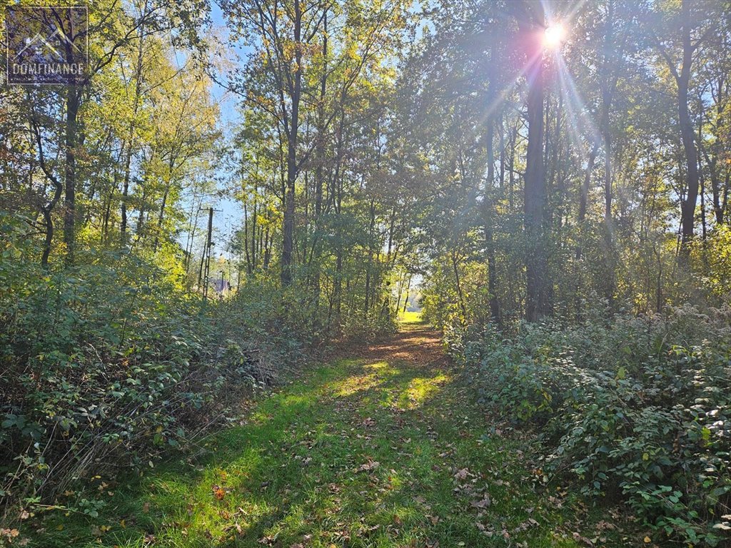 Działka inna na sprzedaż Dąbrowa Tarnowska  29 500m2 Foto 7