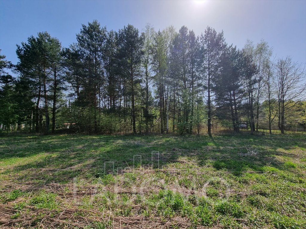 Działka budowlana na sprzedaż Łoś  1 500m2 Foto 3