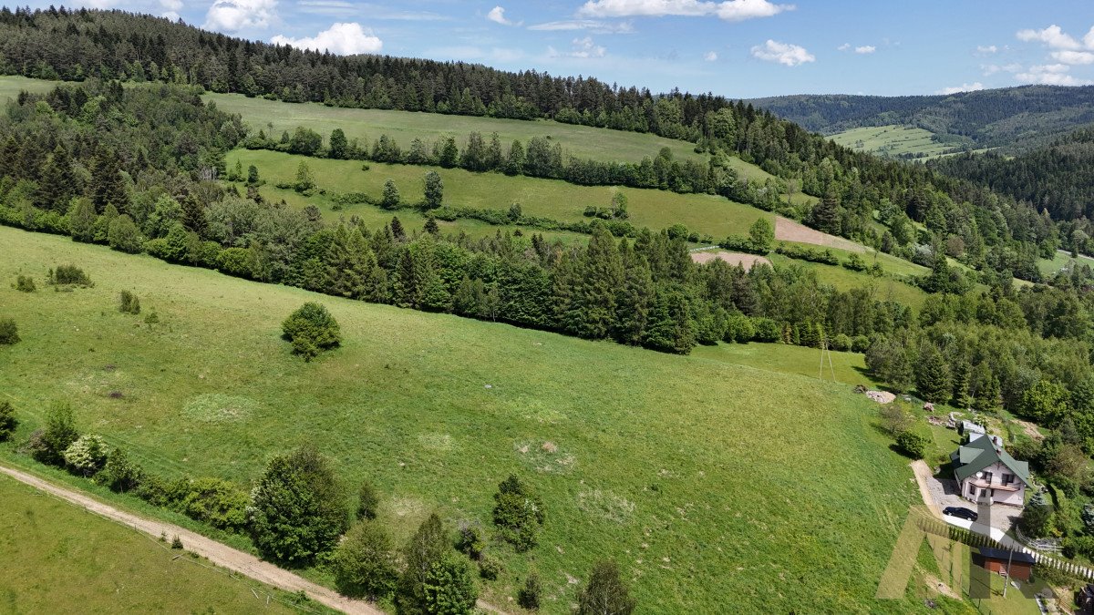 Działka budowlana na sprzedaż Łosie  1 400m2 Foto 11