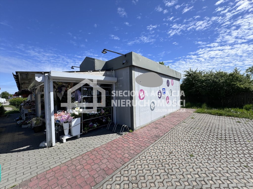 Zdjęcie 3
