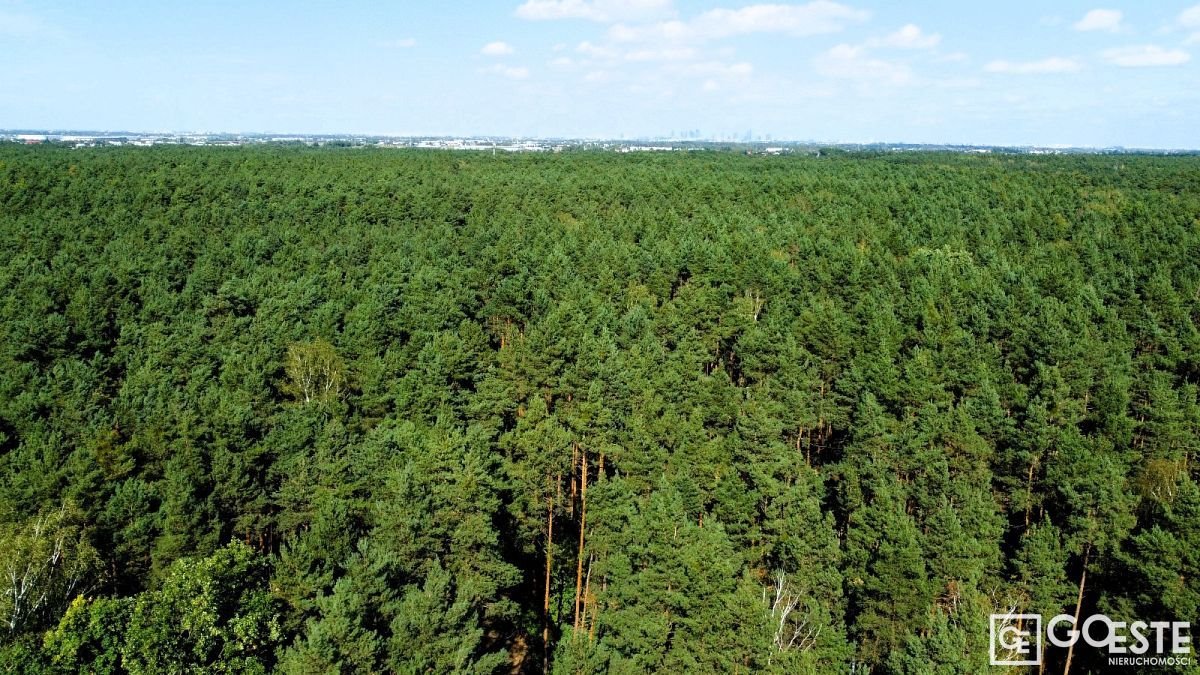 Działka inna na sprzedaż Łazy, Podleśna  7 100m2 Foto 6