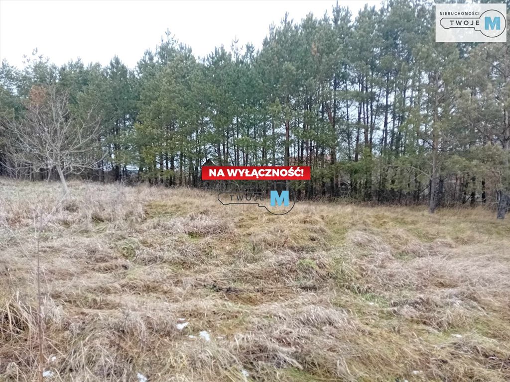 Działka inna na sprzedaż Pierzchnica, Pierzchnianka  6 500m2 Foto 18