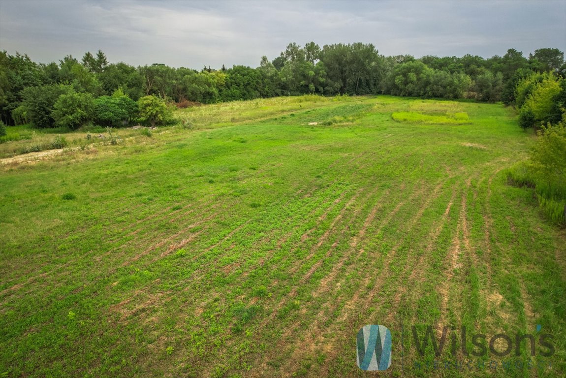 Działka budowlana na sprzedaż Łomianki Dolne, Brzegowa  3 000m2 Foto 8