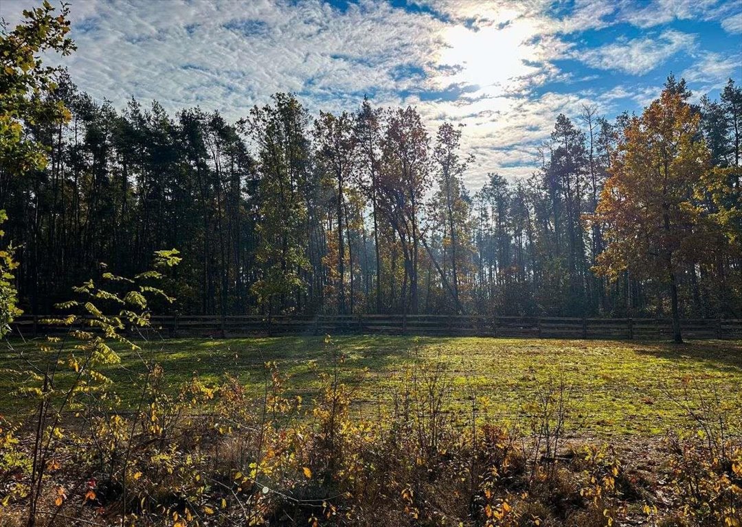 Działka budowlana na sprzedaż Ostrołęka  1 500m2 Foto 13