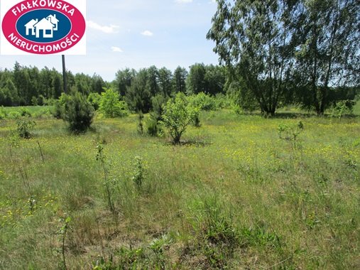 Działka budowlana na sprzedaż Długokąty  19 000m2 Foto 8