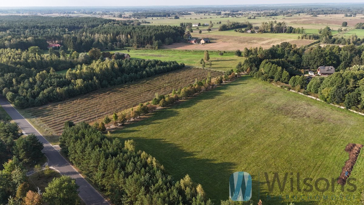 Działka budowlana na sprzedaż Bieliny  24 880m2 Foto 9