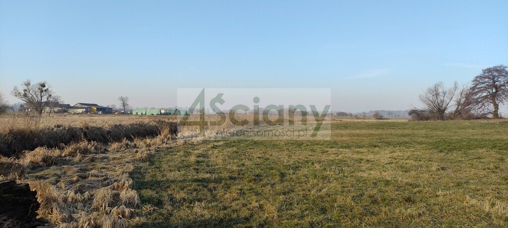Działka budowlana na sprzedaż Cholewy  7 855m2 Foto 1