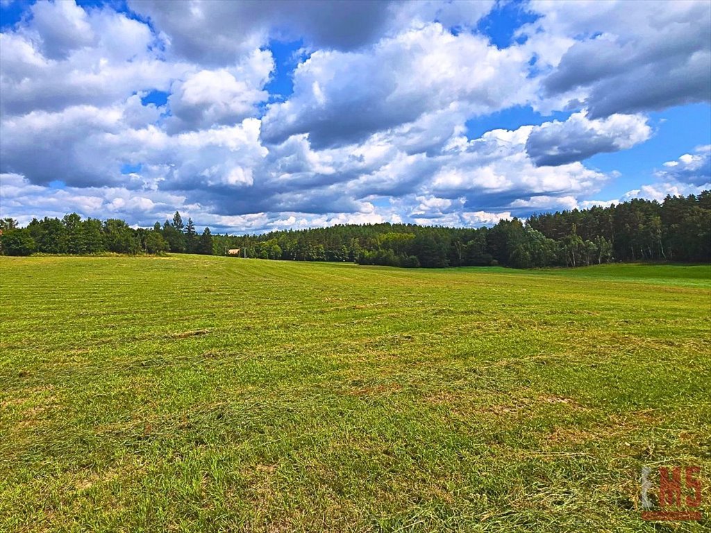 Działka inna na sprzedaż Olsztynek  2 625m2 Foto 5