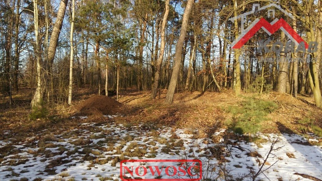 Działka 2630 m2 z planem pod dom jednorodzinny, w urokliwej okolicy Wola Pasikońska, Wola Pasikońska  2 630m2 Foto 1