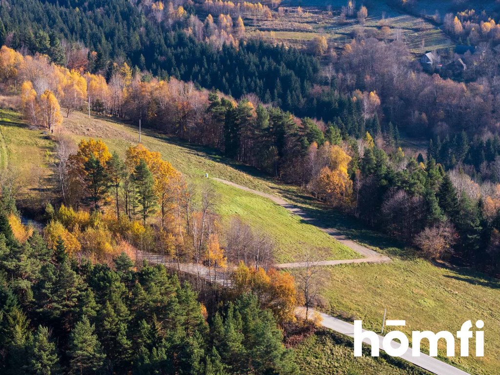 Działka budowlana na sprzedaż Pcim  4 003m2 Foto 2