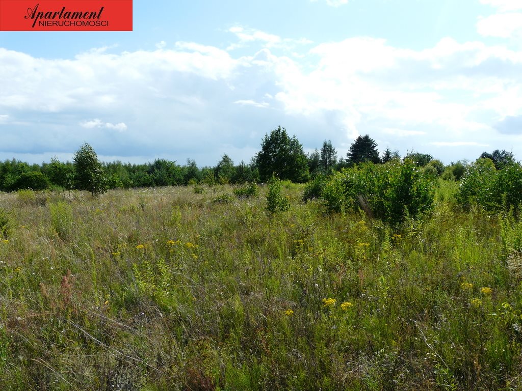 Działka budowlana na sprzedaż Żołędowo 735m2 Foto 1 Działka budowlana na sprzedaż Żołędowo 735m2 Foto 1