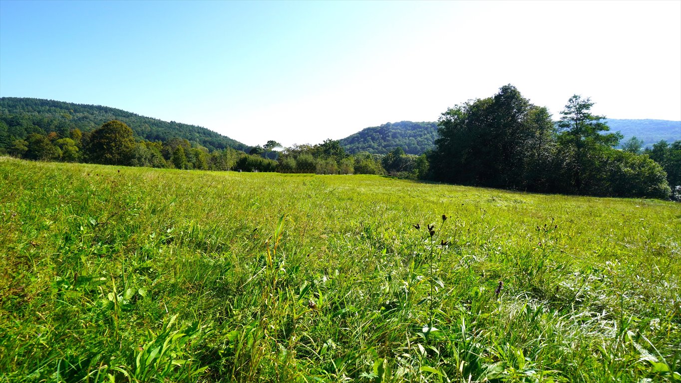 Działka budowlana na sprzedaż Bednarka  2 930m2 Foto 2