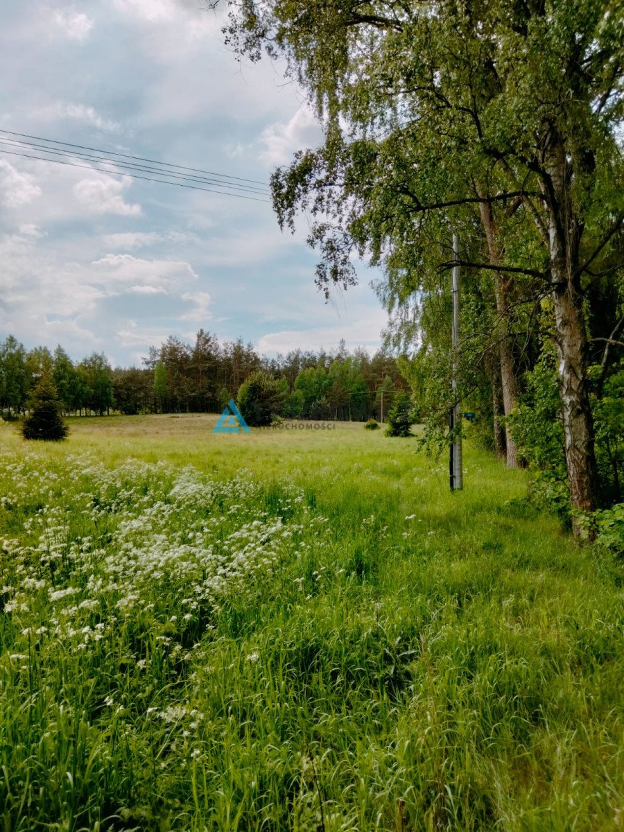 Działka przemysłowo-handlowa na sprzedaż Stara Kiszewa, Leśna  13 199m2 Foto 5