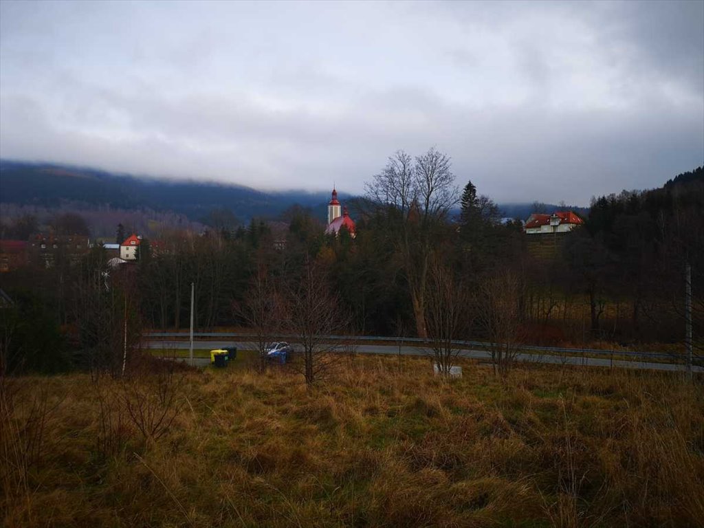 Działka inna na sprzedaż Stronie Śląskie  2 000m2 Foto 3